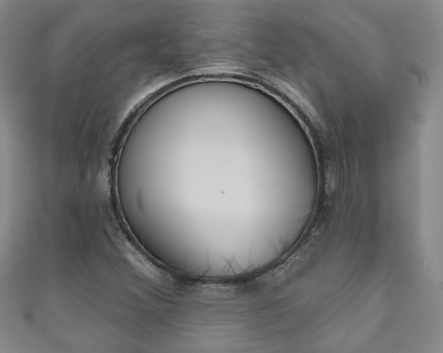 X0000110941356200906261252