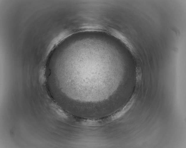 X0000110941357200906261252