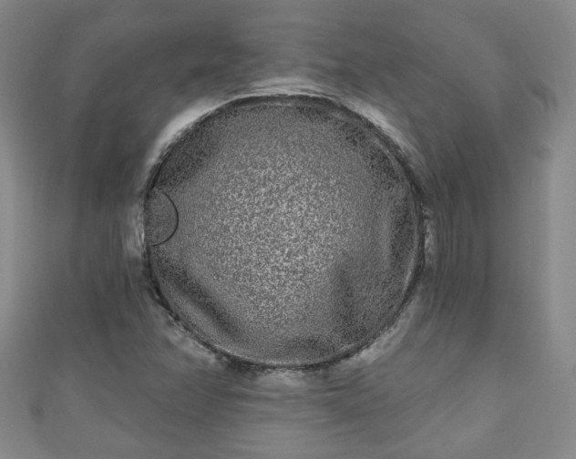 X0000110941358200906261252