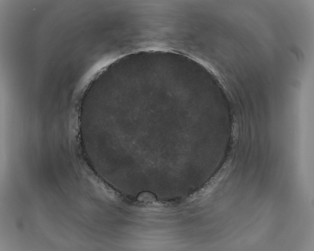 X0000110941359200906261252