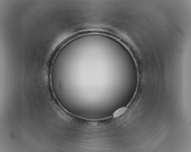 X0000110941360200906261252