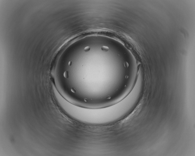 X0000110941361200906261252