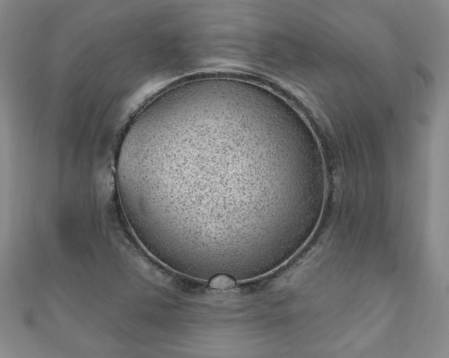 X0000110941363200906261252