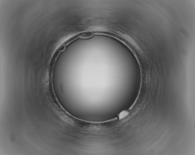 X0000110941364200906261252