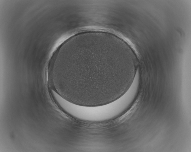 X0000110941365200906261252