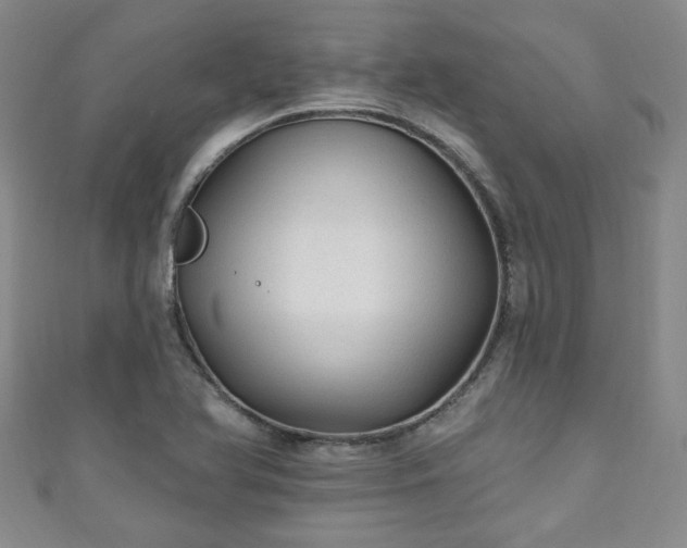 X0000110941366200906261252