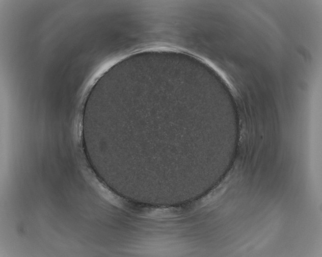 X0000110941367200906261252