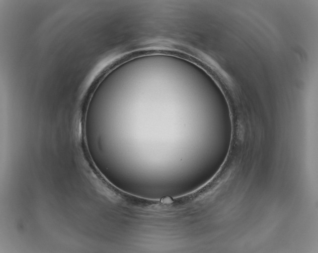 X0000110941368200906261252