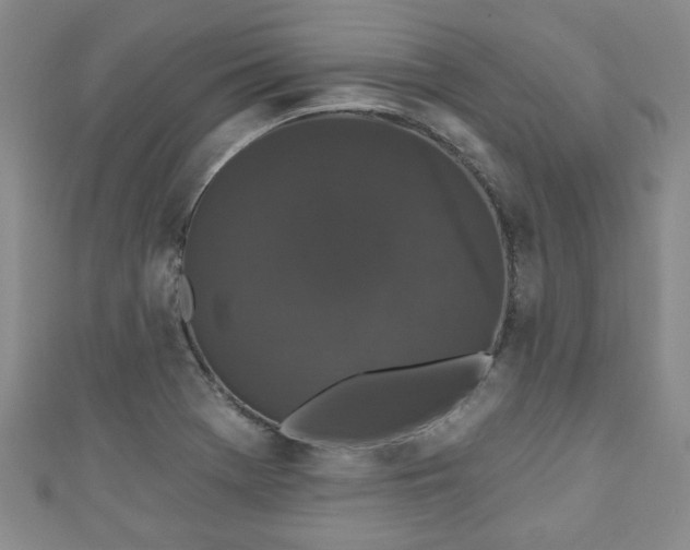 X0000110941369200906261252