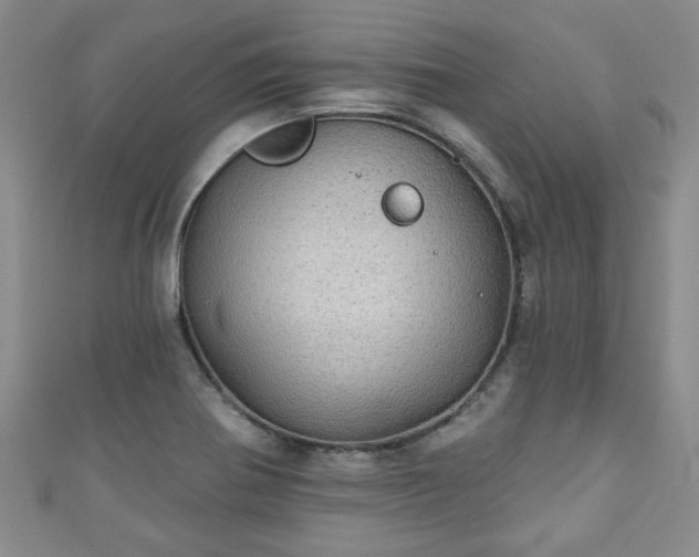 X0000110941370200906261252