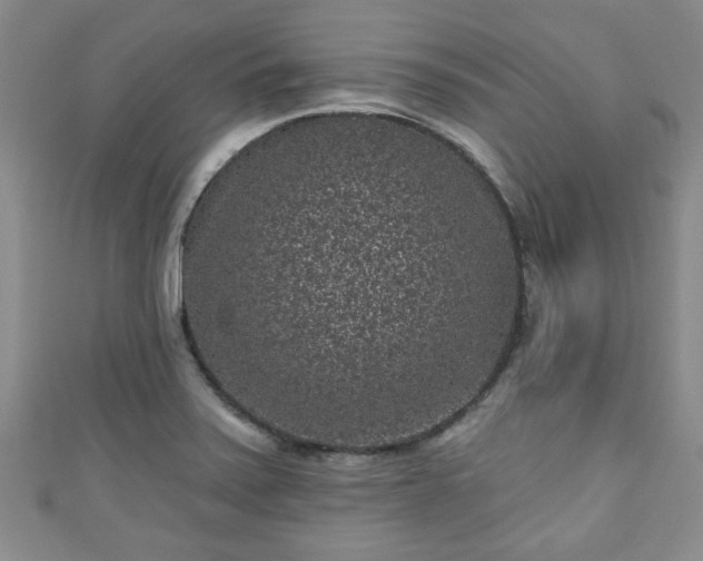 X0000110941371200906261252