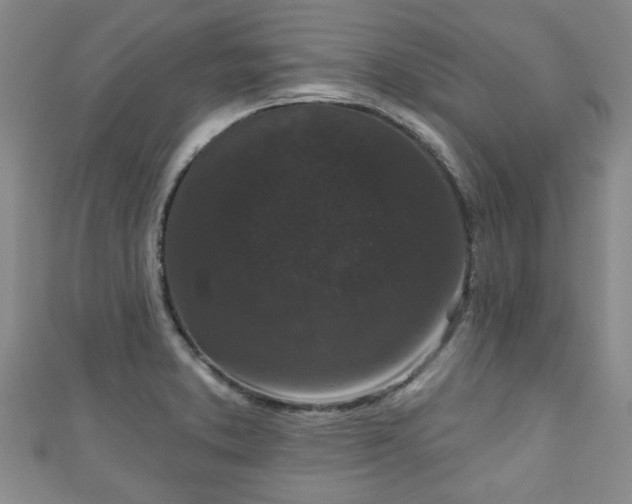 X0000110941373200906261252