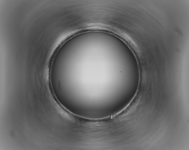 X0000110941376200906261252