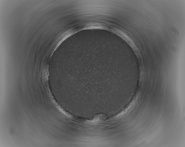 X0000110941377200906261252