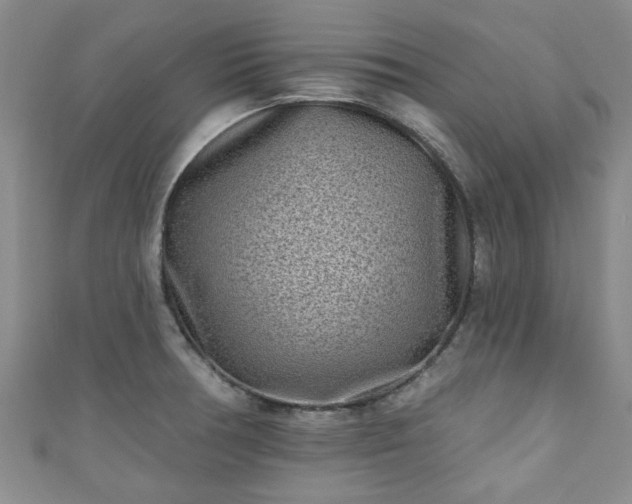 X0000110941378200906261252