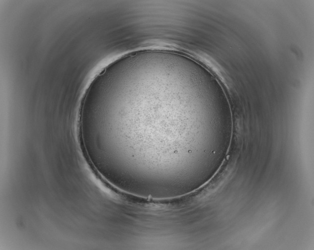 X0000110941379200906261252