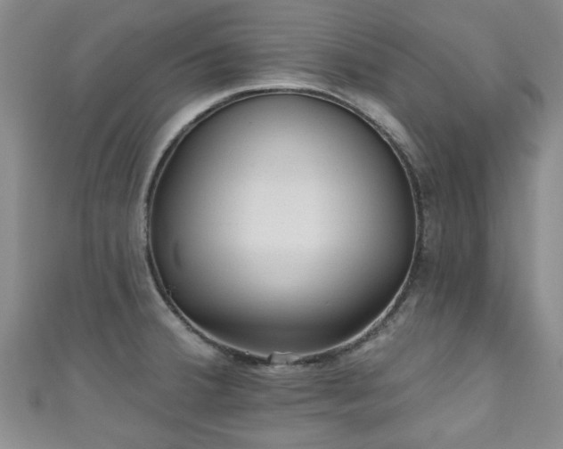 X0000110941380200906261252