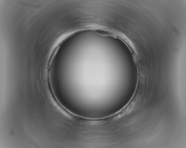 X0000110941381200906261252