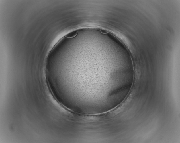 X0000110941382200906261252