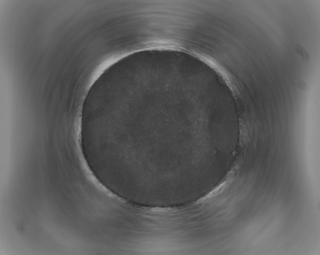 X0000110941383200906261252