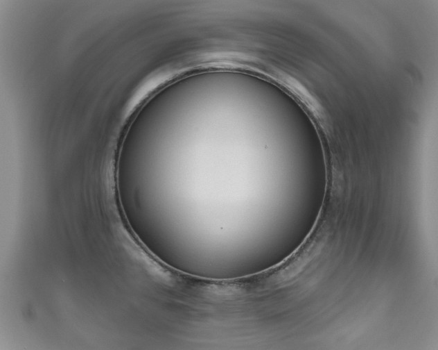 X0000110941384200906261252