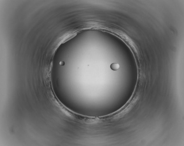 X0000110941385200906261252