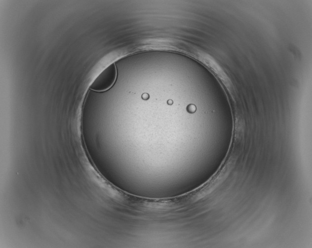 X0000110941386200906261252