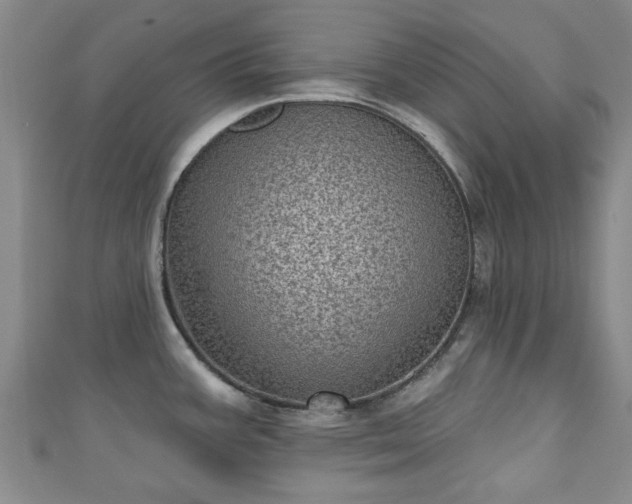 X0000110941387200906261252