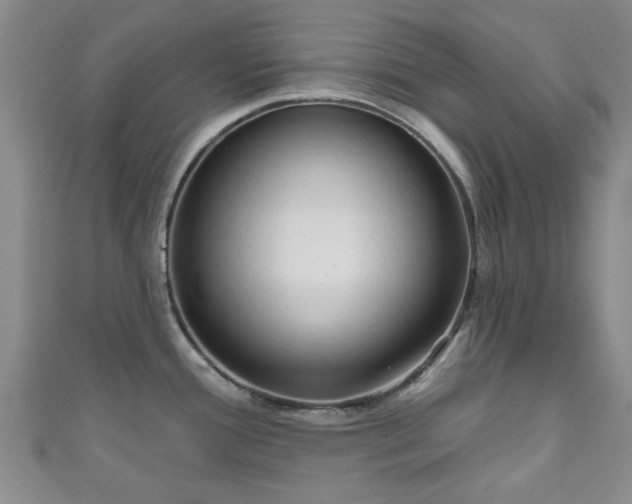 X0000110941388200906261252