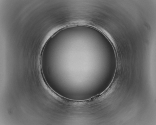 X0000110941389200906261252