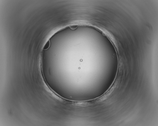 X0000110941390200906261252