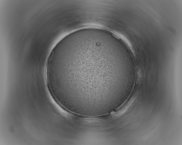 X0000110941391200906261252