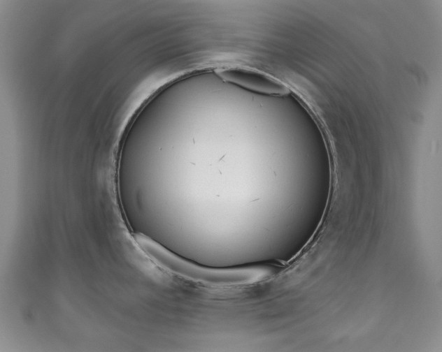 X0000110941392200906261252