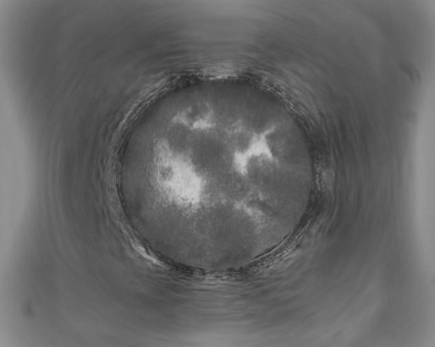 X0000110941393200906261251