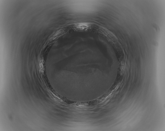 X0000110941394200906261251