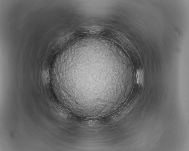 X0000110941395200906261251