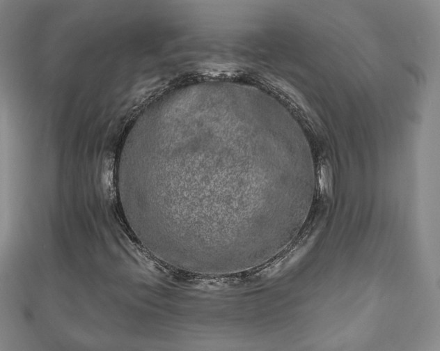 X0000110941396200906261251