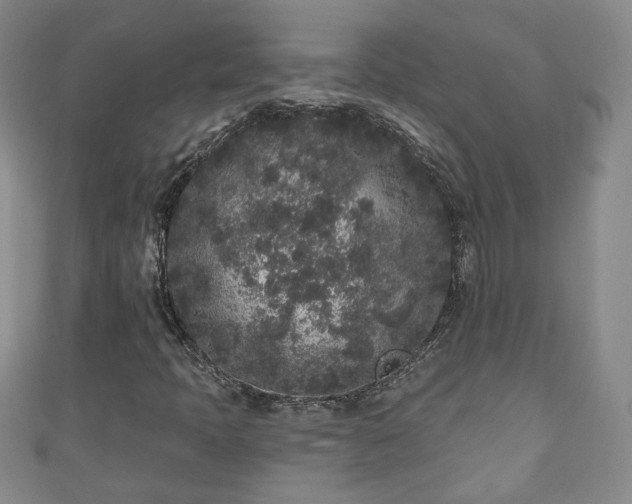 X0000110941397200906261251