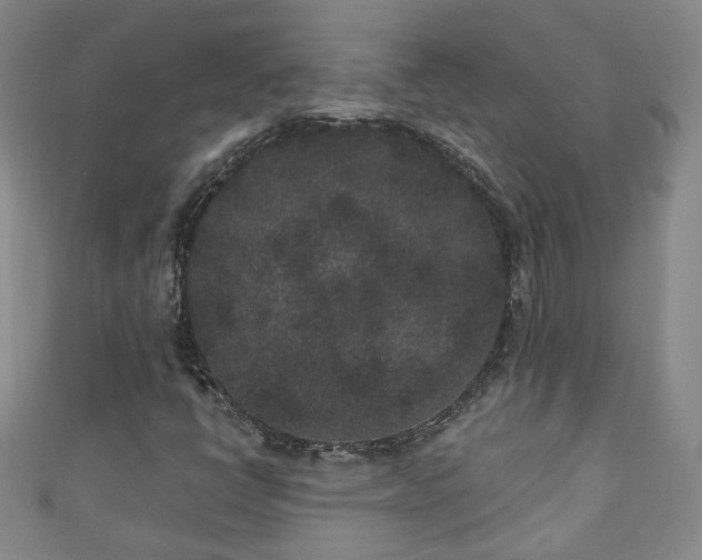 X0000110941398200906261251