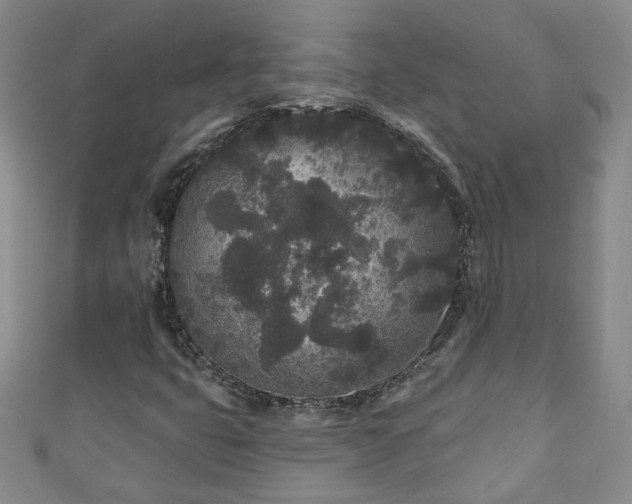 X0000110941399200906261251