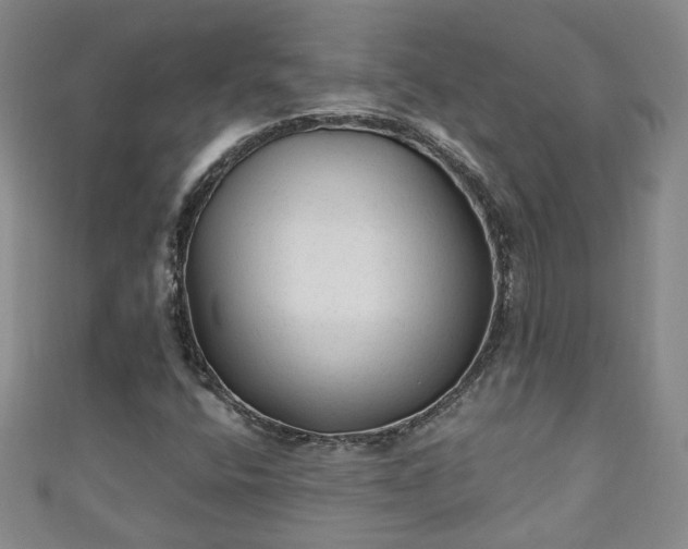 X0000110941400200906261251