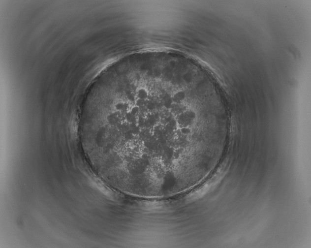 X0000110941401200906261251