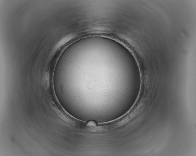 X0000110941402200906261251