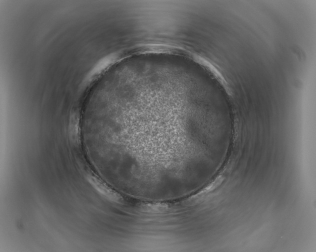 X0000110941403200906261251