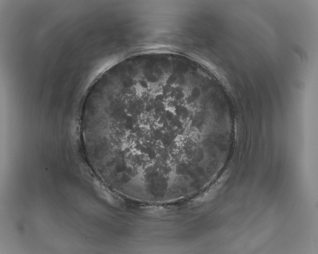 X0000110941405200906261251