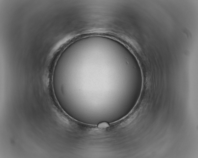 X0000110941406200906261251