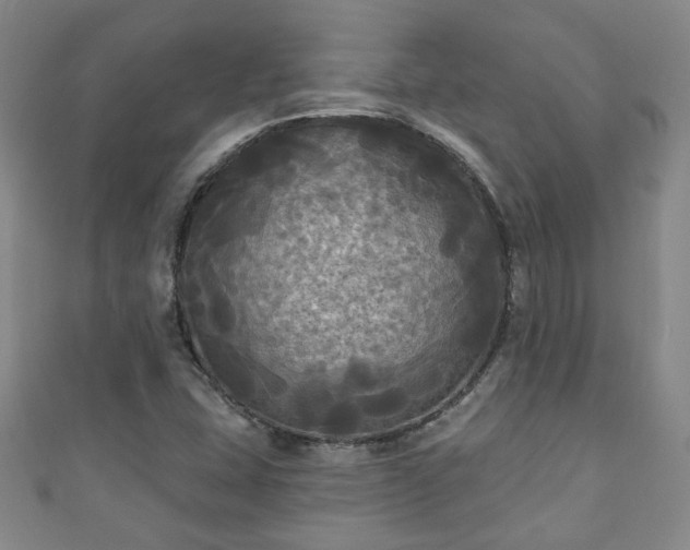 X0000110941407200906261251