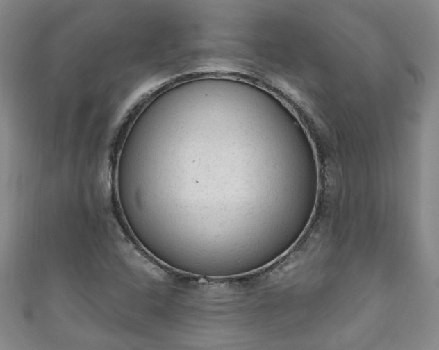 X0000110941408200906261251