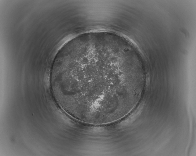 X0000110941409200906261251