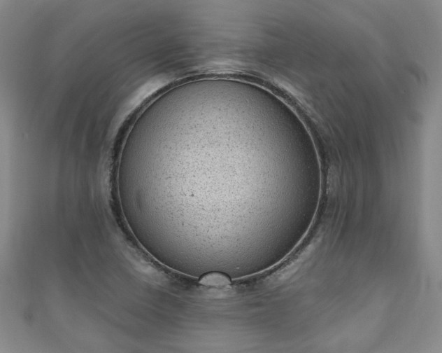 X0000110941410200906261251